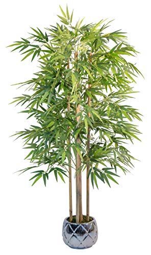 Maia Shop 1137 Bambú Cañas Naturales, Elaborados con los Mejores Materiales, Ideal para Decoración de hogar, Árbol, Planta Artificial (150 cm), Mixtos Maia Shop 1137 Bambú Cañas Naturales, Elaborados con los Mejores Materiales, Ideal para Decoración de hogar, Árbol, Planta Artificial (150 cm), Mixtos