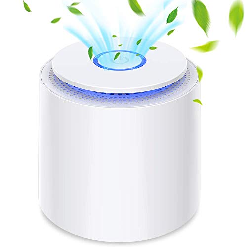 Purificador de Aire Portátil con Filtro HEPA Verdadero, Sin Ozono, USB Filtro de Aire de Escritorio con Luz Nocturna y Función de Aromaterapia, Eliminar Polvo, Polen, Humo, Olor, Caspa de Mascotas Purificador de Aire Portátil con Filtro HEPA Verdadero, Sin Ozono, USB Filtro de Aire de Escritorio con Luz Nocturna y Función de Aromaterapia, Eliminar Polvo, Polen, Humo, Olor, Caspa de Mascotas