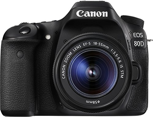 Canon EOS 80D - Cámara réflex digital de 24.2 MP (pantalla táctil de 3", video Full HD, enfoque automático, WiFi) negro - kit cuerpo con objetivo Canon EF 18 - 55 mm f/3.5 - 5.6 IS (versión importada) Canon EOS 80D - Cámara réflex digital de 24.2 MP (pantalla táctil de 3", video Full HD, enfoque automático, WiFi) negro - kit cuerpo con objetivo Canon EF 18 - 55 mm f/3.5 - 5.6 IS (versión importada)