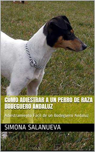 Cómo Adiestrar a Un Perro de Raza Bodeguero Andaluz : Adiestramiento Fácil de un Bodeguero Andaluz Cómo Adiestrar a Un Perro de Raza Bodeguero Andaluz : Adiestramiento Fácil de un Bodeguero Andaluz