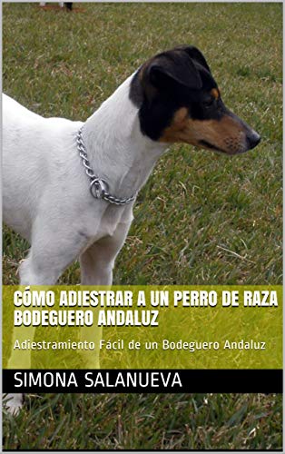 Cómo Adiestrar a Un Perro de Raza Bodeguero Andaluz  : Adiestramiento Fácil de un Bodeguero Andaluz