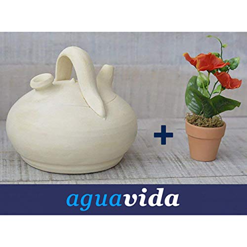 Hogar y Mas Set Planta y botijo Dispensador de Agua H2O 1,00-1,5 litros Aprox. Especial para el refrigerador