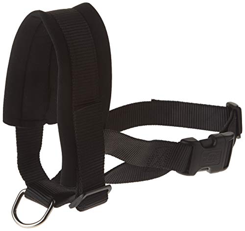 Trixie Bozal Lazo Nylon, Entrenamiento, XXL, 28-38 cm, Ng Trixie Bozal Lazo Nylon, Entrenamiento, XXL, 28-38 cm, Ng