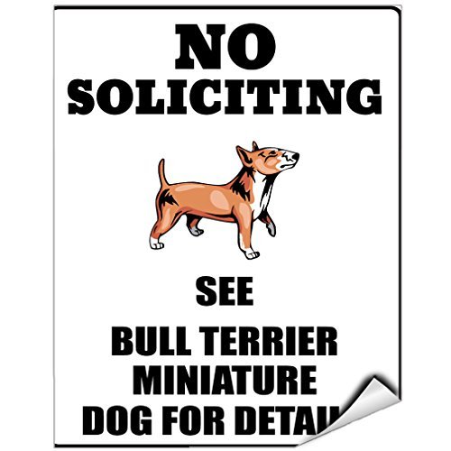 Adhesivo de vinilo con texto en inglés "No Soliciting See Bull Terrier" en miniatura para detalles, 9 pulgadas x 12 pulgadas