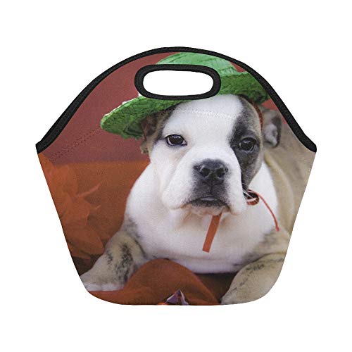 Bolsa de almuerzo de neopreno aislada Cachorro de bulldog inglés atigrado sentado Usando bolsas de asas gruesas térmicas reutilizables de gran tamaño para cajas de almuerzo para exteriores,
