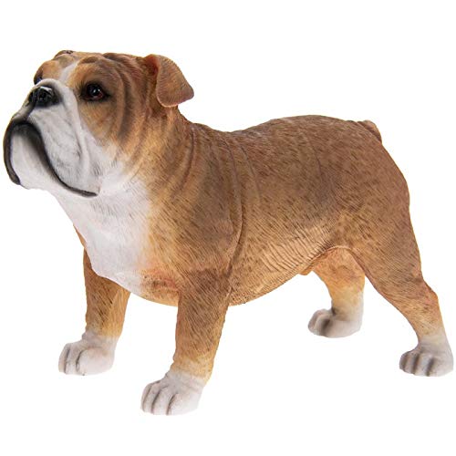Figura de Bulldog británico Ornamen Dogt de Fawn and White en Caja – Bulldog inglés