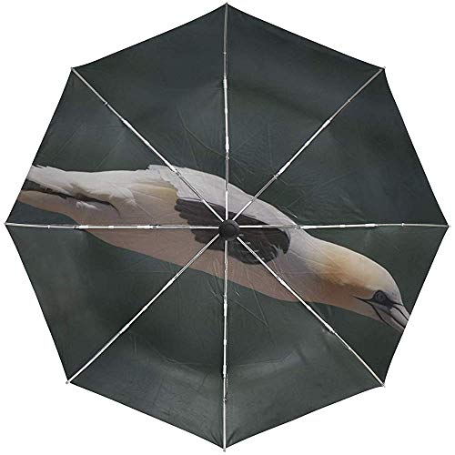 Paraguas automático Bird Prey Boom Vuelo Viaje Conveniente A Prueba de Viento Impermeable Plegable Automático Abrir Cerrar