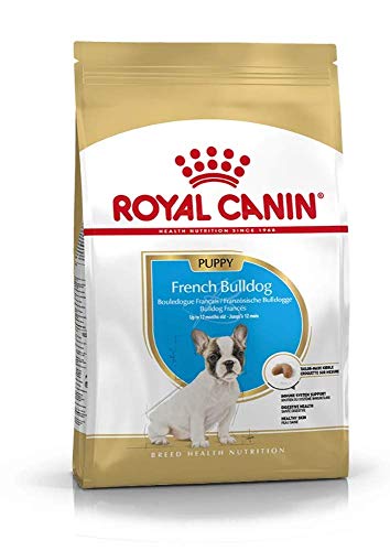 Royal Canin Bulldog Frances Puppy - 3 Kg