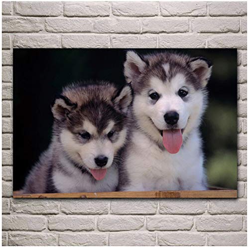 cachorros husky pareja ocio lindos animales encantadores sala de estar pared del hogar arte moderno decoración póster Regalos para padres y amigos -50x75cm Sin marco