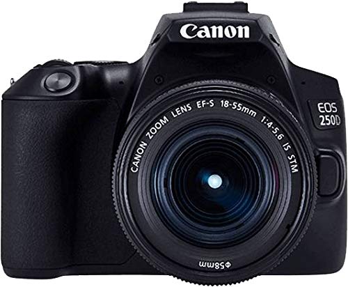 Canon EOS 250D - Cámara digital (24,1 MP, 6000 x 4000 Pixeles, CMOS, 4K Ultra HD, pantalla táctil) negro - kit con cuerpo y EF-S 18-55IS STM