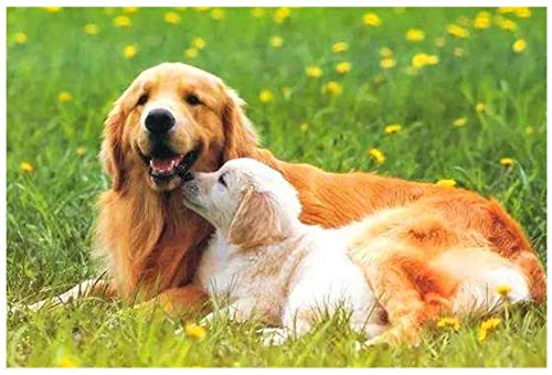 CNstory Mini Puzzles de 1000 Piezas en Miniatura DIYpara Adultos Perro mamá y Cachorro de Madera Resistente Desafío del Ejercicio Cerebral Juego de Alta dificultad Regalo para Niños 52*38cm CNstory Mini Puzzles de 1000 Piezas en Miniatura DIYpara Adultos Perro mamá y Cachorro de Madera Resistente Desafío del Ejercicio Cerebral Juego de Alta dificultad Regalo para Niños 52*38cm