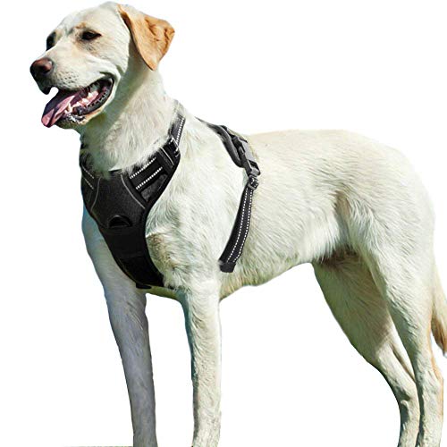 Eagloo Arnes de Perro Antitirones Cómodo Chaleco Ajustable Correa al Cuello y Pecho para Perros Grande Material Duradero Transpirable con Cinta Reflectante Adaptarse a Ejercer Externo L/Negro Eagloo Arnes de Perro Antitirones Cómodo Chaleco Ajustable Correa al Cuello y Pecho para Perros Grande Material Duradero Transpirable con Cinta Reflectante Adaptarse a Ejercer Externo L/Negro