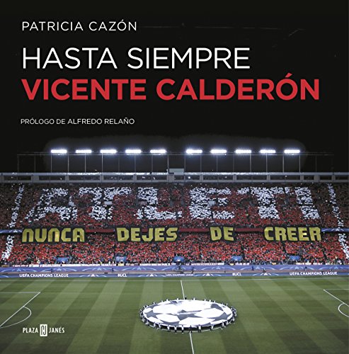 Hasta siempre, Vicente Calderón (Obras diversas)