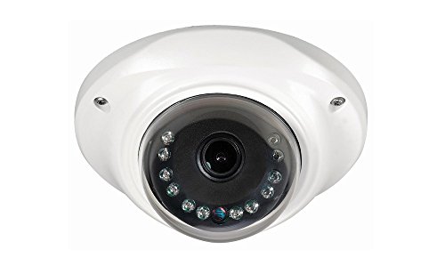 High End Sony 700TVL CCTV cámara domo de vigilancia panorámicas de Pez de 180 grados ángulo de visualización analógica