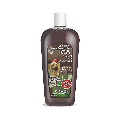ICA CHP19 Champú con Aloe Vera para Yorkshire ICA CHP19 Champú con Aloe Vera para Yorkshire