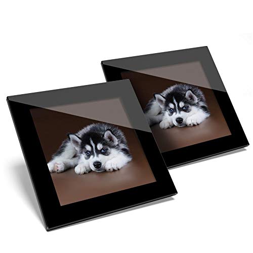 Impresionante juego de 2 posavasos de cristal – Siberian Husky Cachorro Ojos Azules Perro Brillante Calidad de Protección de Mesa para cualquier tipo de mesa #46297