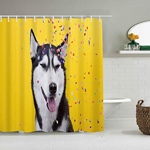JIOLK Cortina de Ducha Impermeable,Tipo Divertido Alegre Raza de Perro Cachorro Colorido Siberiano Pura Raza Amigo Felices Vacaciones Husky,Cortinas de baño con 12 Ganchos,tamaño 180 x 210cm JIOLK Cortina de Ducha Impermeable,Tipo Divertido Alegre Raza de Perro Cachorro Colorido Siberiano Pura Raza Amigo Felices Vacaciones Husky,Cortinas de baño con 12 Ganchos,tamaño 180 x 210cm