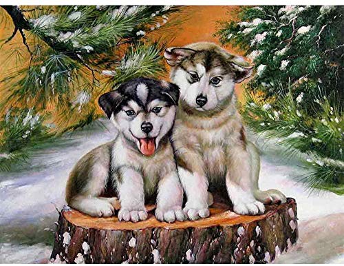 Jkykpp Pintura De Cachorros Mostrar   Decoración De Regalo Para El Hogar Completo