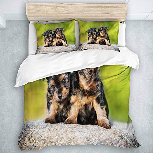 Juego de Ropa de Cama 3 Piezas Microfibra,Pieles Cachorro Verde Dos Cachorros Yorkshire Terrier Camada Basura Yorkie Naturaleza Linda Adorab,1 Funda Nórdica y 2 Funda de Almohada (Cama 240 x 260cm)