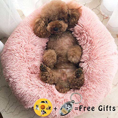 Lamzoom Cama para Mascotas Deluxe para Gatos y Perros pequeños y medianos con cojín Suave Redondo u Ovalado (70x20, Rosa)