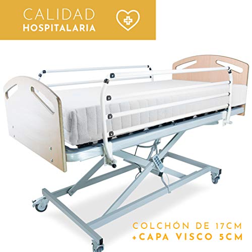 LTDM Cama Articulada Eléctrica con Carro Elevador | Colchón y Envío Incluido (105x190 colchón 24cm)