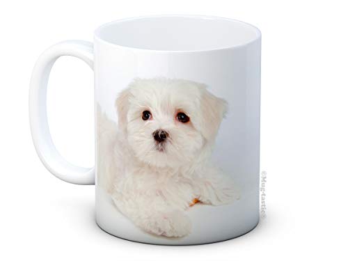 Maltese Terrier Perrito Perro Bichon - Taza de té café de alta calidad