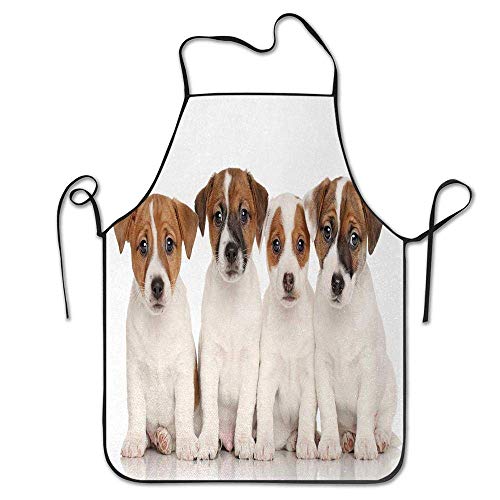 Not Applicable Grupo de Cachorros Jack Russell Terrier Mejores Amigos Mascotas domésticas Delantales para Perros bebés Unisex Babero de Cocina para cocinar Jardinería, Tamaño Adulto