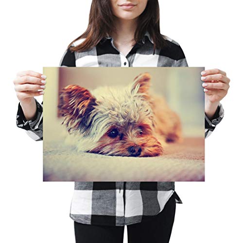 Póster de vinilo de destino A3 - Yorkshire Terrier cachorro perro Art Print 42 X 29,7 cm 280 gsm satinado papel fotográfico #15621
