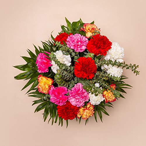 Ramos de flores naturales a domicilio claveles Lisboa - Flores frescas - Envío a domicilio 24h GRATIS - Tarjeta dedicatoria incluida - Caja especial para ramos de flores naturales. Ramos de flores naturales a domicilio claveles Lisboa - Flores frescas - Envío a domicilio 24h GRATIS - Tarjeta dedicatoria incluida - Caja especial para ramos de flores naturales.