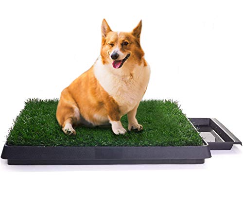 Sailnovo Inodoro para Mascotas Perro Césped Interior Orinal Perro Almohadilla de Entrenamiento de Hierba para Animal Doméstico(63 x 50 x 7 cm)
