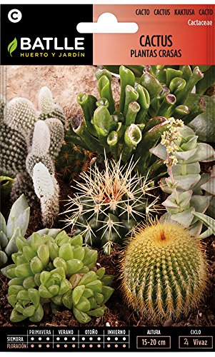 Semillas de Flores - Cactus Plantas Crasas variadas - Batlle