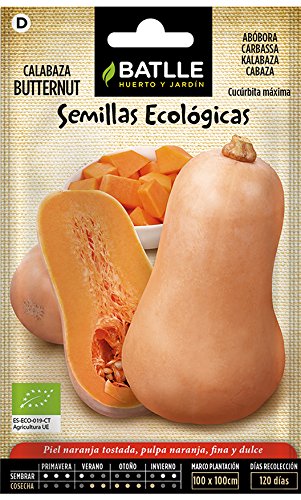 Semillas Ecológicas Hortícolas - Calabaza Butternut - ECO - Batlle