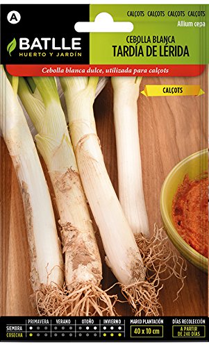 Semillas Hortícolas - Calçots - Cebolla blanca tardía de Lérida - Batlle