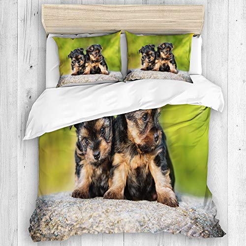 XINGAKA Ropa Cama Funda nórdica,Pieles Cachorro VerDos Cachorros Yorkshire Terrier Camada Basura Yorkie Naturaleza Linda Adorable Raza,Microfibra Conjunto Tres Piezas Varios Patrones Personalizados