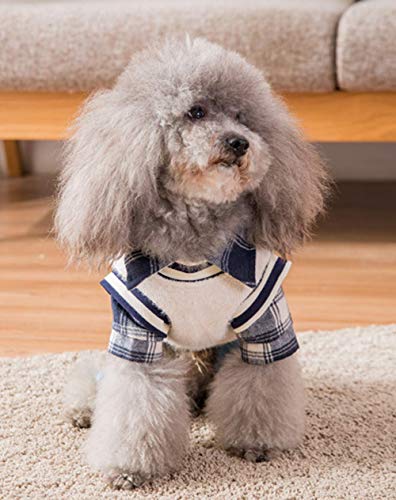 Xihaoer - Camisa de cuadros para cachorro de primavera y otoño, diseño de osito de peluche