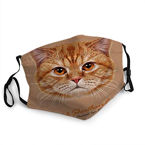 Boca cubierta Cara Shiled Scraf Retrato Gato doméstico Naranja Británico Pelo corto con ojos de cobre