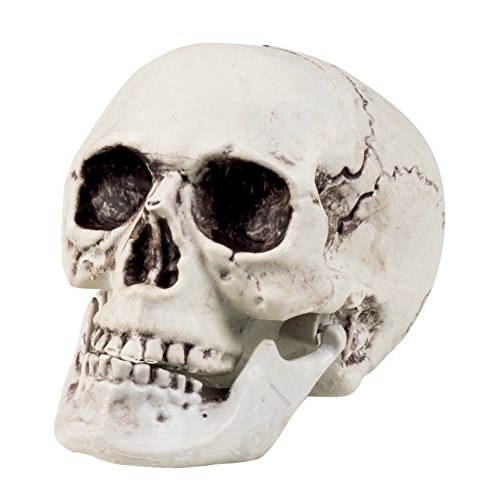 Boland, 74362 - Calavera decorativa con mandíbula abatible, blanco Boland, 74362 - Calavera decorativa con mandíbula abatible, blanco