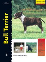 Bull Terrier (Excellence)