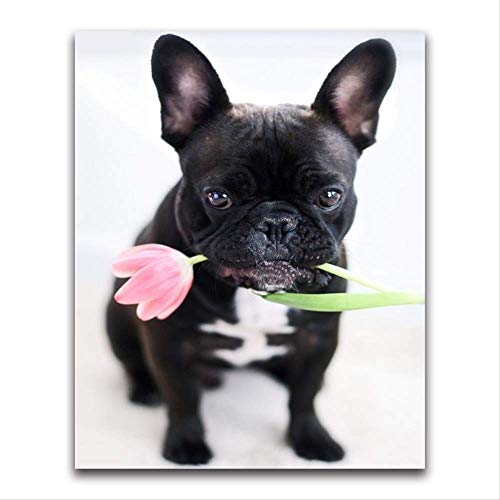 Diamante cuadrado completo mosaico tulipán cachorro 5D Diy diamante pintura punto de cruz flor negro perro diamante bordado Bulldog francés 50 * 40 cm