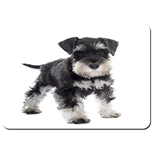 DIYAB Alfombra de Baño,Schnauzer Miniatura Cachorro Negro Delante de Perro Mascota animalSúper Suave Multiuso Lavable a Máquina75x45cm