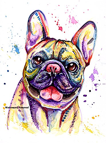 Francés Bulldog Art Print, frenchies Bull perro pintura arte impresión de gráficos cumpleaños regalo – A6, A5, A4 Tamaños – opciones de montaje disponibles, Blanco, A4 Mounted Print 11 x 14"