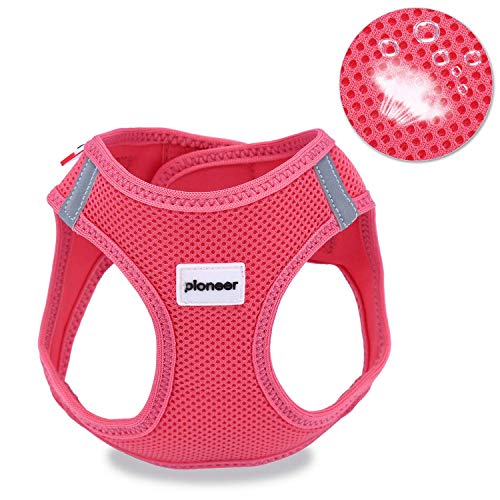 HAPPY HACHI Arnés Gato Chaleco Gatito Perro Pequeño Ajustable Suave Acolchado Cómodo para Viajar Pasear con Mascota Pequeña Cachorro Chihuahua(XS Rosa) HAPPY HACHI Arnés Gato Chaleco Gatito Perro Pequeño Ajustable Suave Acolchado Cómodo para Viajar Pasear con Mascota Pequeña Cachorro Chihuahua(XS Rosa)