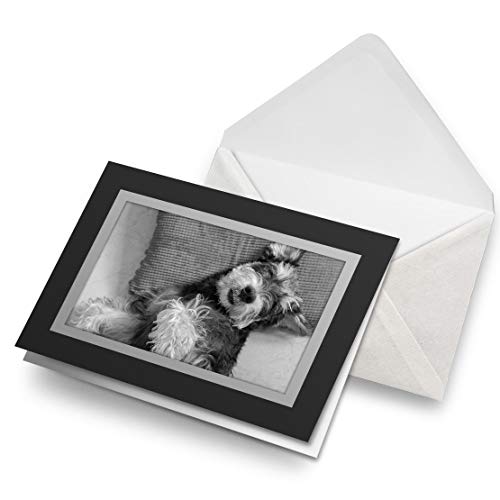Impresionantes tarjetas de felicitación, color negro (inserto) BW – Miniatura Schnauzer cachorro perro en blanco tarjeta de felicitación de cumpleaños para niños y niñas #43228
