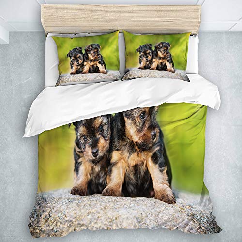 Juego de Ropa de Cama 3 Piezas Microfibra,Pieles Cachorro Verde Dos Cachorros Yorkshire Terrier Camada Basura Yorkie Naturaleza Linda Adorab,1 Funda Nórdica y 2 Funda de Almohada (Cama 140 x 200cm) Juego de Ropa de Cama 3 Piezas Microfibra,Pieles Cachorro Verde Dos Cachorros Yorkshire Terrier Camada Basura Yorkie Naturaleza Linda Adorab,1 Funda Nórdica y 2 Funda de Almohada (Cama 140 x 200cm)