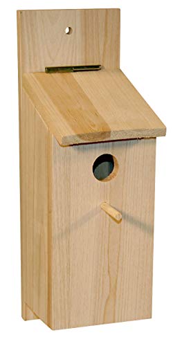 Kit de caja nido para montar 36 x 12 x 14 cm, para páridos