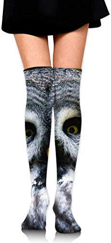 NA Knee High Leg Warmer Funny Bart Owl Bird Compression Sock High Tube Thigh Boot Stocking for Women Teens Girls