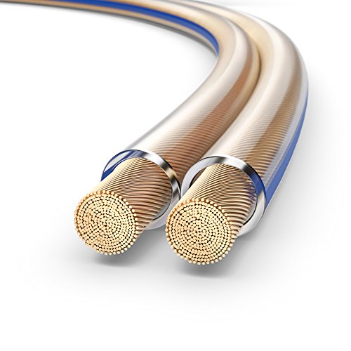 PureLink SP020-010 Cable de altavoz 2 x 4.0 mm² (99.9% OFC cable de cobre sólido 0.10mm) Cable de altavoz de alta fidelidad, 10m, transparente