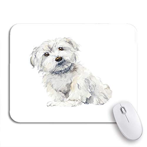 Yaoni Juego Alfombrilla de ratón Cachorro Perro maltés Retrato Pequeño Acuarela Animal Lindo Pura Raza Antideslizante Respaldo de Goma Alfombrilla para portátiles Ordenadores Alfombrillas de ratón Yaoni Juego Alfombrilla de ratón Cachorro Perro maltés Retrato Pequeño Acuarela Animal Lindo Pura Raza Antideslizante Respaldo de Goma Alfombrilla para portátiles Ordenadores Alfombrillas de ratón