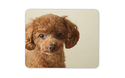 Alfombrilla para ratón con diseño de caniche y cachorro, color marrón, 18 x 22 cm, regalo