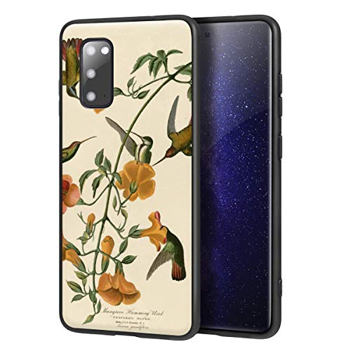Berkin Arts John James Audubon para Samsung Galaxy S20 Carcasa/del teléfono Celular de Arte del teléfono Celular de Arte/Impresión Giclee en la Cubierta del móvil(Mangrove Humming Uccello)